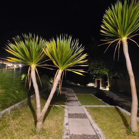 Alam Bali Lake View