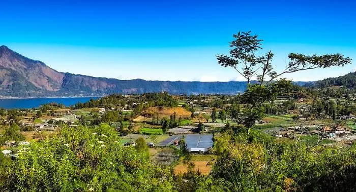 Alam Bali View ベッド・アンド・ブレックファスト