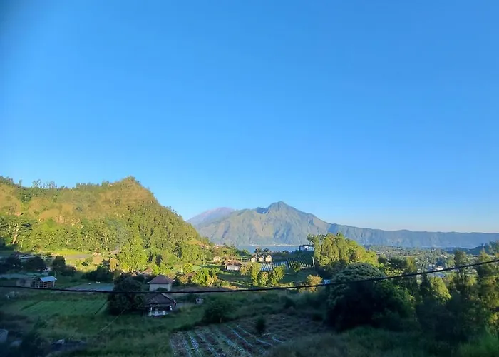 Alam Bali View 3*