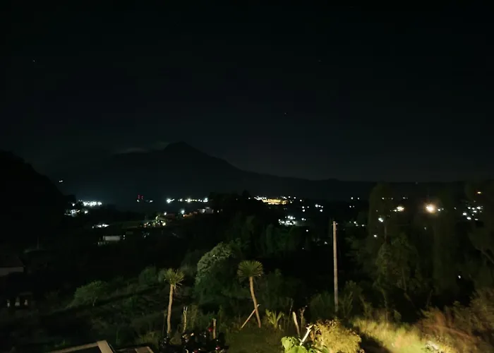 Alam Bali View ベッド・アンド・ブレックファスト Bangli