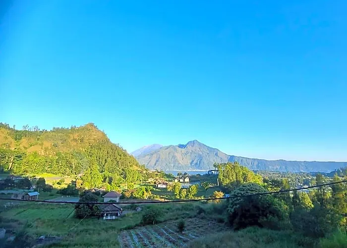 Alam Bali View Bangli