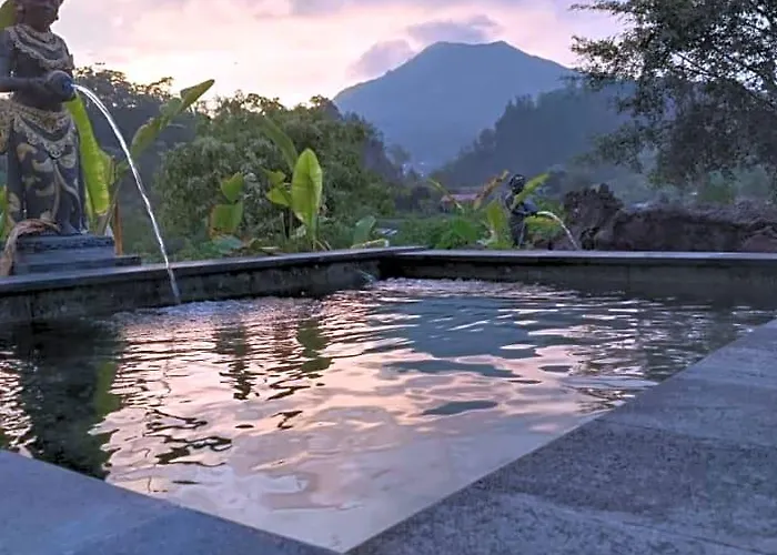 Alam Bali View Bangli